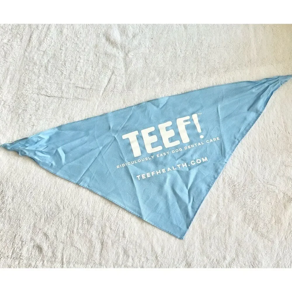 Light blue and white doggy bandana